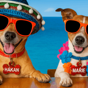 🇪🇸🇪🇸🇪🇸Spansk Fiesta 🇪🇸🇪🇸🇪🇸